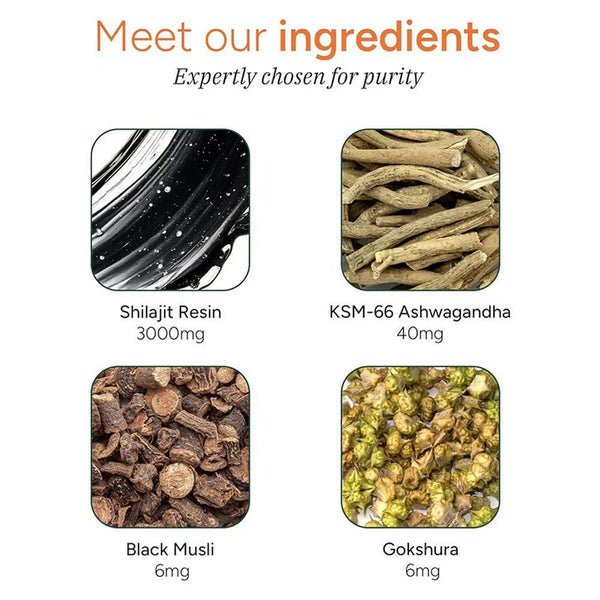 Peak Energy Shilajit Gummies