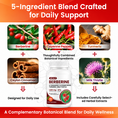 Berberine Complex with Ceylon Cinnamon, Turmeric & Herbal Blend – 120 Capsules